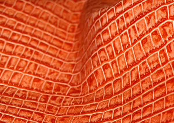 cueros y curtidos para cinturones